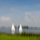 nwwebinsta-0942